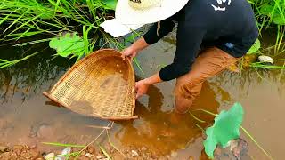 Amazing cowboy fishing at village | Catching fish | Cambodia Fishing | Traditional Fishing 4K