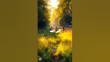 " وأفوض أمري إلى الله " للقارئ عبدالباسط عبدالصمد #قرآن #قران_كريم #عبدالباسط_عبدالصمد