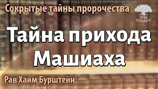 Тайна прихода Машиаха, сокрытая в книге пророка Йешаягу (Исайи). Рав Хаим Бурштейн