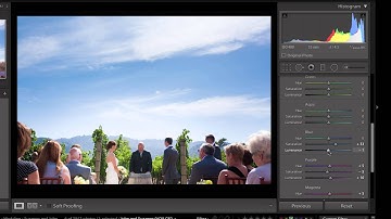 Color Sliders in Lightroom