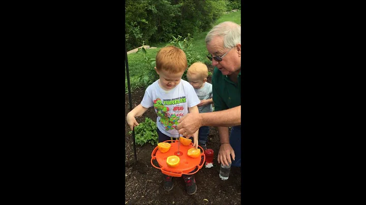 Bird Man Mel and the Grandkids   SE905 Ultimate Oriole Feeder
