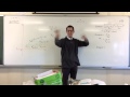 Understanding Midpoints in Geometry