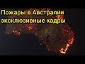 ПОЖАРЫ В АВСТРАЛИИ ВИДЕО / ПОЖАРЫ В АВСТРАЛИИ УНИЧТОЖИЛИ ГОРОДА И БОЛЬШЕ МИЛЛИАРДА ЖИВОТНЫХ