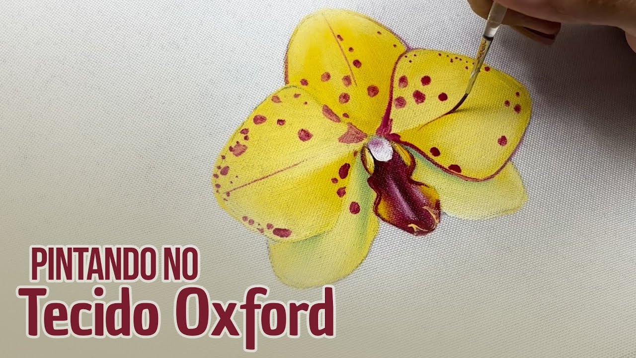 Pintando no Tecido Oxford