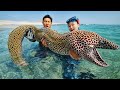 阿曼抓巨型海鳗，体长2米凶猛似巨蟒，红烧一锅啥味道？| 赶海 | 鳗鱼 | 龍蝦 | 阿曼 | 浮潛 | 渔猎 |