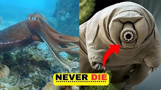 10 Animals With Superpowers You Won't Believe Exist!