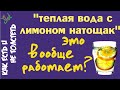 Теплая вода с лимоном утром натощак: в чем смысл? Поможет быстро похудеть? :-)