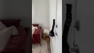 Unit 2 - 207 Earlscourt Ave walkthrough
