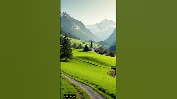 قرآن كريم سورة التين بصوت القارئ الشيخ بدر بن راشد العفاسي