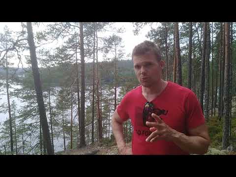 Video: 4 tapaa menestyä elämässä