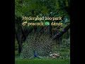 Inside India's Most Notorious Zoo: Nehru Zoo Hyderabad