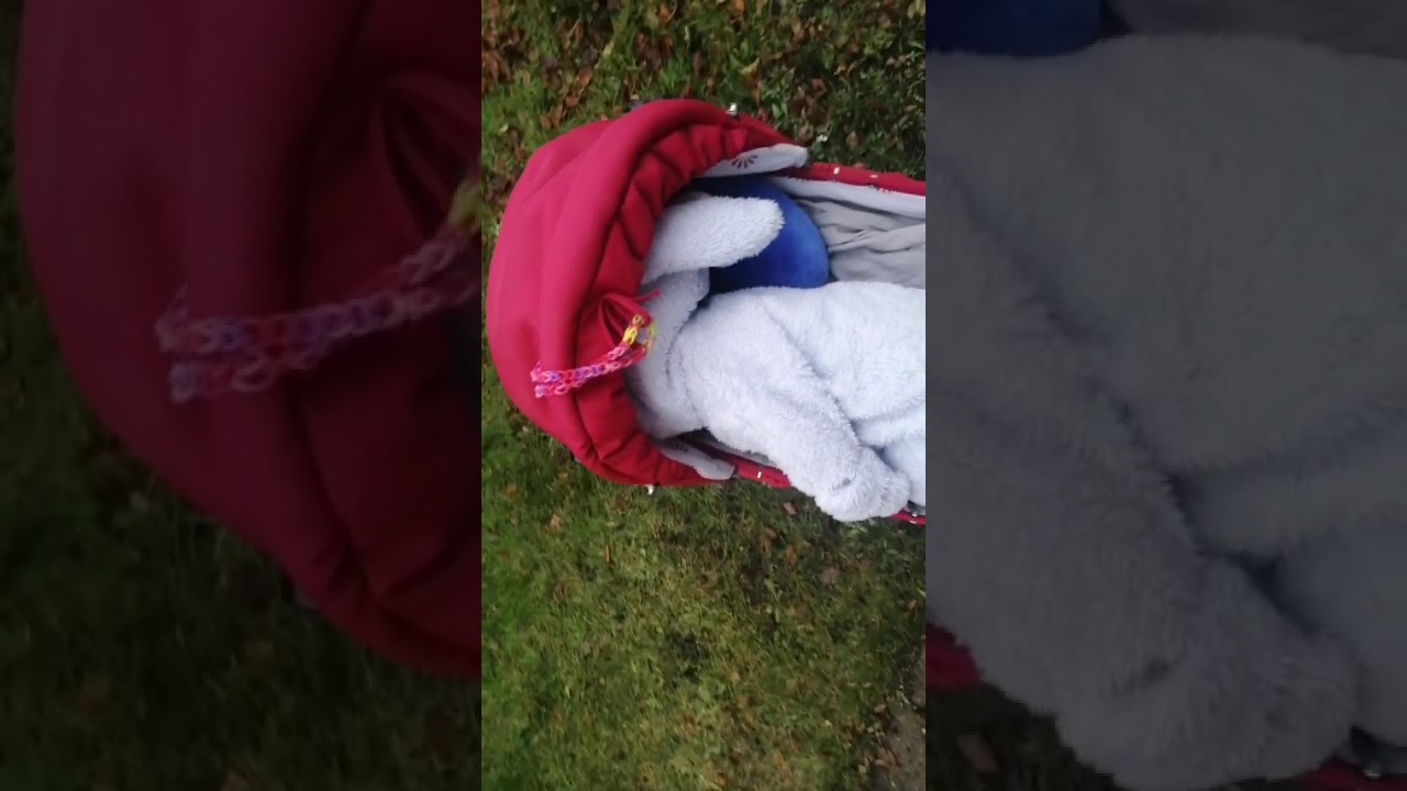 17 января 2026 г.