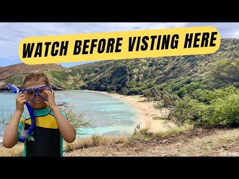 Hanauma Bay / IS IT WORTH IT? #oahu #hawaii #snorkeling