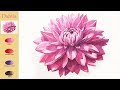Basic Flower Watercolor - Dahlia (sketch & color mixing, Arches) NAMIL ART