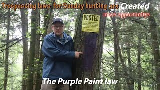 The Purple Paint law what is it ? #@PATG2