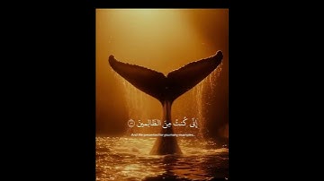 #اكسبلور #like #تلاوة_خاشعة #راحة_نفسية #لايك #الرحمن #القرآن_الكريم #المصحف