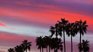 Soft Lounge | Ibiza VOL.3 screenshot 1