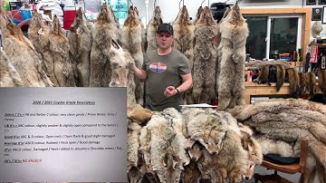 Coyote Grading 101 -The Basics