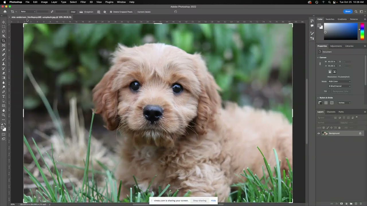 Optimize a Photo for Web in Photoshop