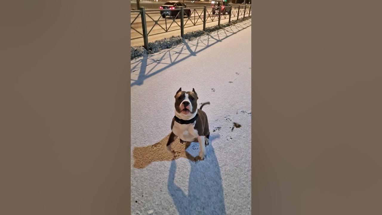 Годы год туда год сюда. Загадки в мурзилке 20 лет назад. Сюда не ходи туда ходи снег. Годы год туда год сюда. Годы год туда год сюда.