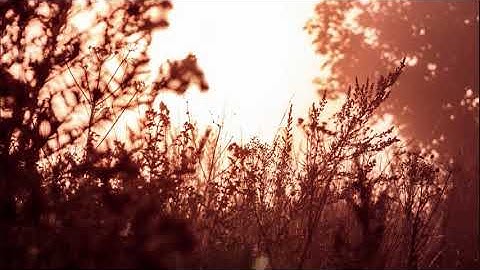 تلاوة عراقية بقمة الجمال والعذوبة تُرقق القلوب