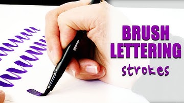 Brush Lettering Strokes | The Most Basic