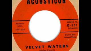 Velvet Waters by The Megatron's on 1959 Acousticon 45. chords