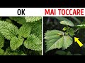 85 fatti che sicuramente stupiranno qualsiasi ambiente