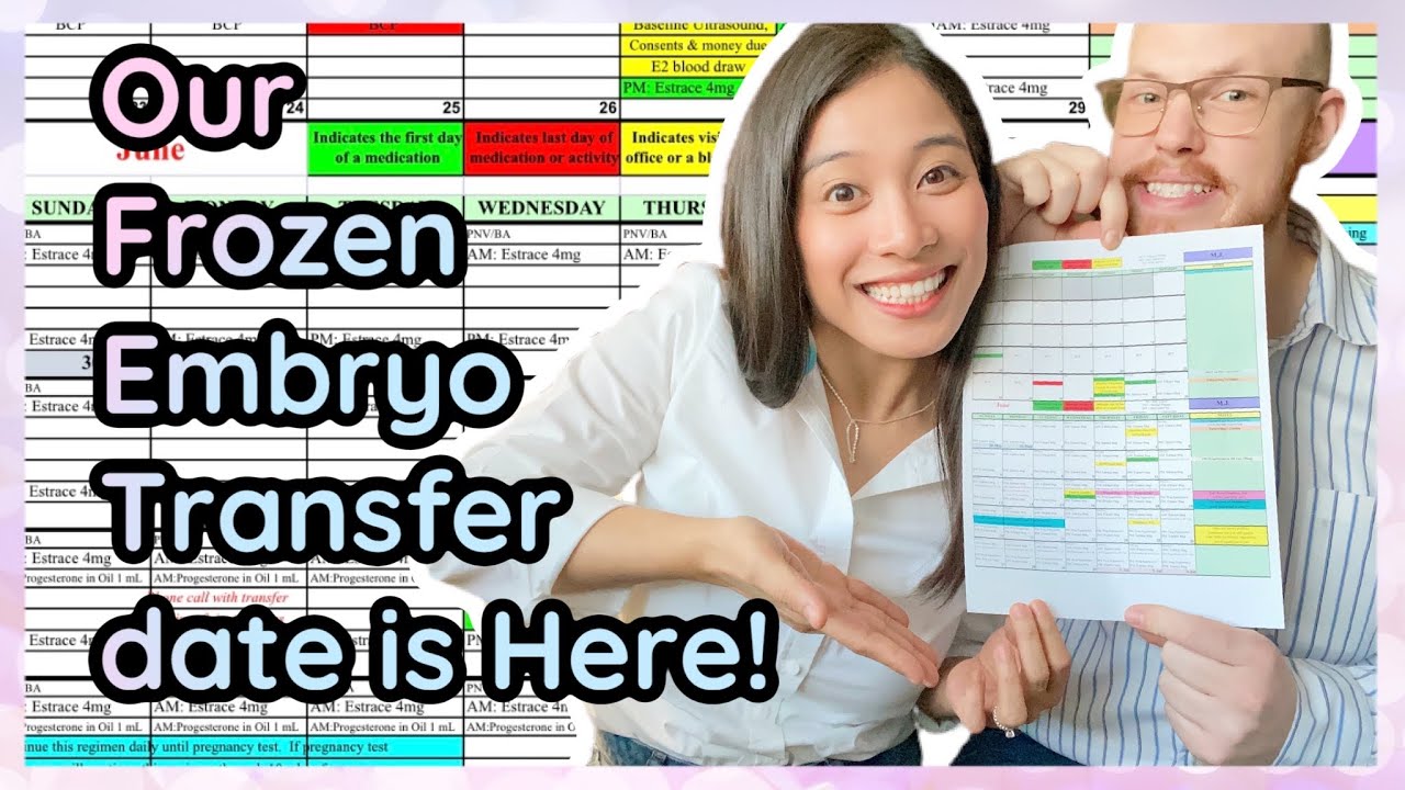 We finally have our First Frozen Embryo Transfer date! Exciting! — Mini STIM IVF with ICSI. Ep