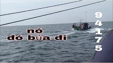 Tập đoàn lưới vây bao bình minh quảng nam đang bủa vây cá cơm.tại cù lao chàm