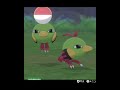 ネイティステップ🎵Natu #pokemonswordshield #ポケモン剣盾
