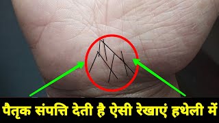 पैतृक संपत्ति देती है ऐसी रेखाएं हथेली में😀। #palmistry #hastrekha #shorts