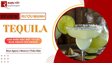 Tequila là gì? Vì sao gắn liền với cocktail - 0368.044.456 | Rượu Tốt