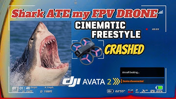 Shark ate my DJI Avata 2 Crashed at the Beach - FPV Freestyle