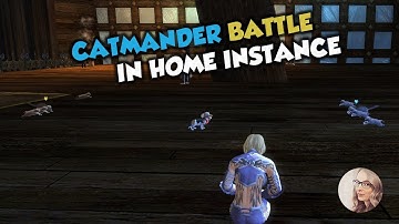 GW2 Catmander Battle in Home Instance