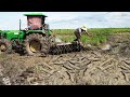 Excellent Fishing in Growing season | Catch Copper SnakeHead Fish & Catfish Under Mud Rear Tractor