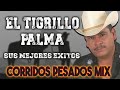 El tigrillo palma  corridos pesados mix  30 exitos 