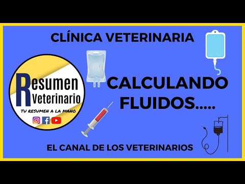 Video: Cómo determinar la cantidad correcta de ejercicio para su perro