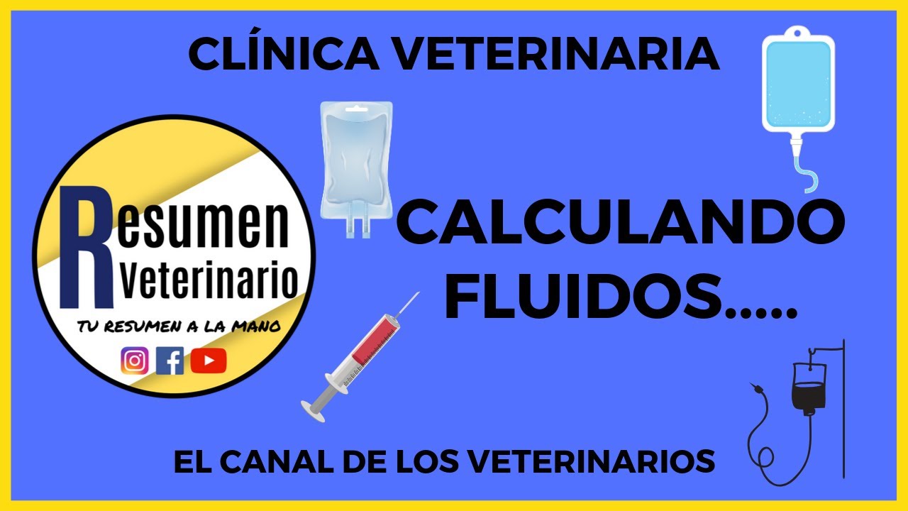 CLÍNICA VETERINARIA - CALCULANDO FLUIDOS EN PEQUEÑOS ANIMALES