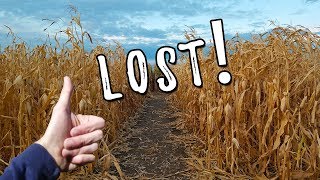 LOST in a giant corn maze shaped like Harry Potter