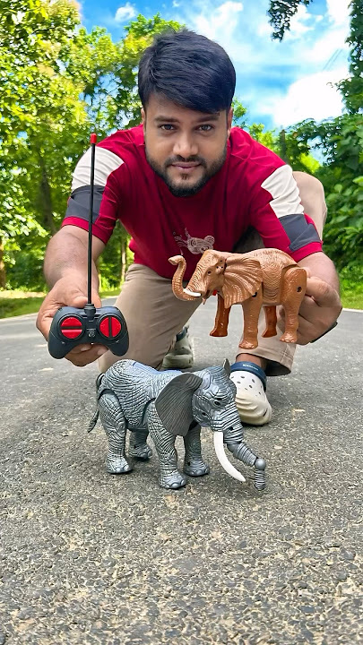 Small RC Elephant🐘 VS Big Elephant Testing 😱