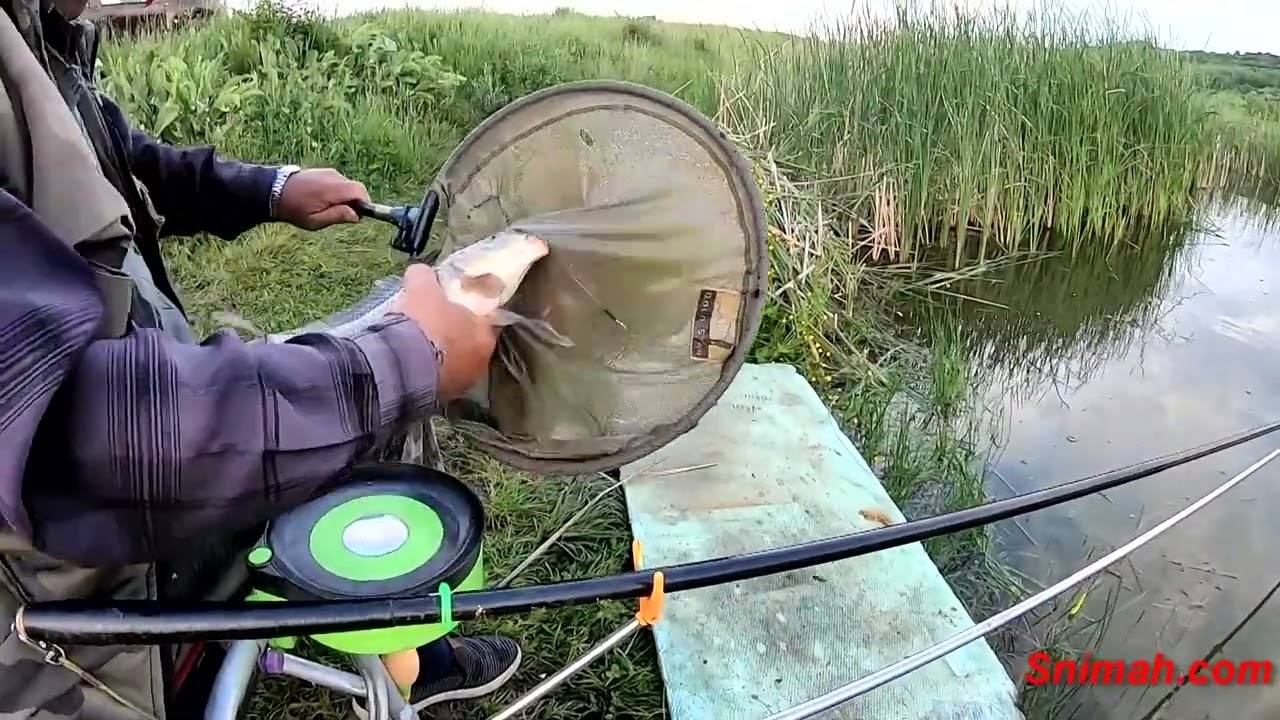 За риба на язовир Братушково. Шаран победител.