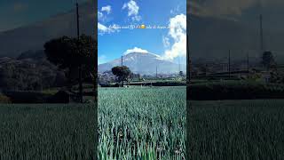 Pemandangan sawah dan gunung sesuai lukisan kita waktu masih sekolah dasar #trendingshorts #travel Pemandangan sawah dan gunung sesuai lukisan kita waktu masih sekolah dasar #trendingshorts #travel
