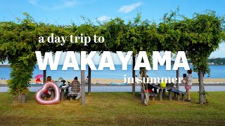 A day trip to Wakayama 🇯🇵 Unexplored region 4 hours drive from Osaka | Japan VLOG
