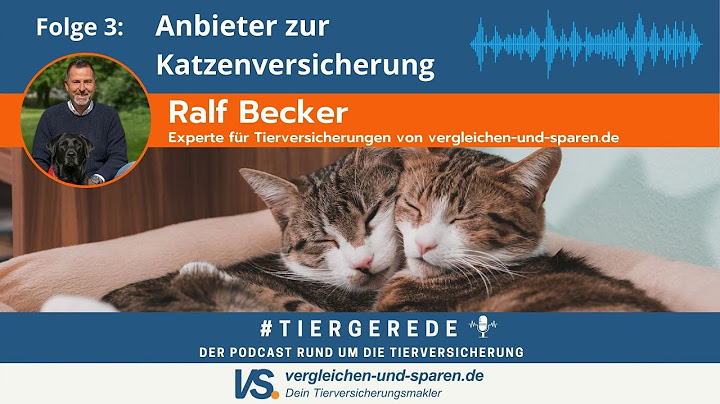 Wann ist eine katzenversicherung sinnvoll?