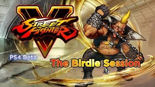 SFV Beta - The Birdie session
