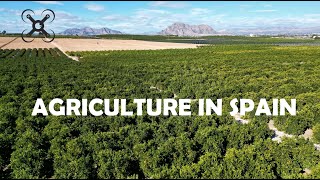 Agriculture in Spain 🇪🇸 | Farmland & Orange Groves from Above (4K Drone)