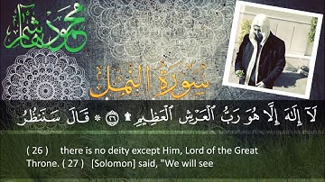 الشيخ محمود هاشم - سورة النمل من الآية 9 إلى الآية 60