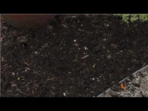 Flower Gardening : How to Prepare Soil for a Wildflower Garden - YouTube