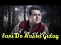 Shah Farooq New Tapay 2024 | Sani De Nasta Gulay | Pashto New Eid Song Shah Farooq Tappay 2024